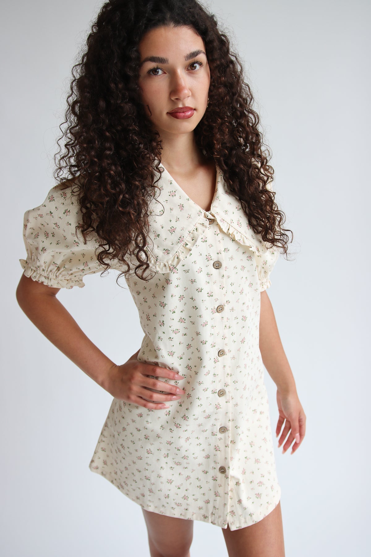 Floral Peter Pan Collar Denim Dress